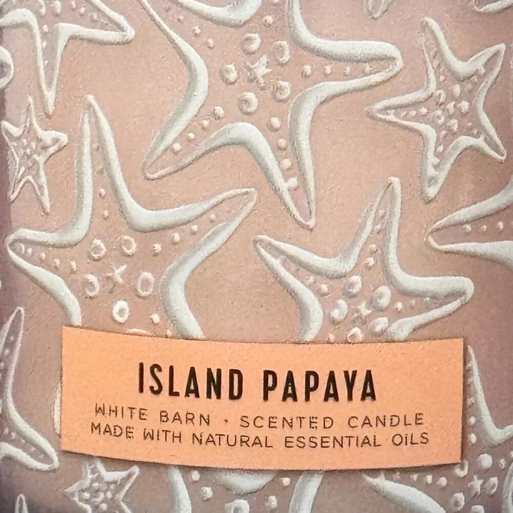BBW Island Papaya White Barn Bath & Body Works Mason Jar Single Wick Candle - Picture 3 of 10